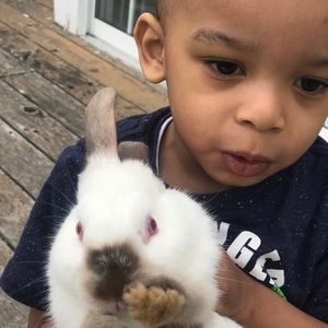 Meet your Posher, Liam